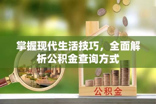 岱岳掌握现代生活技巧，全面解析公积金查询方式