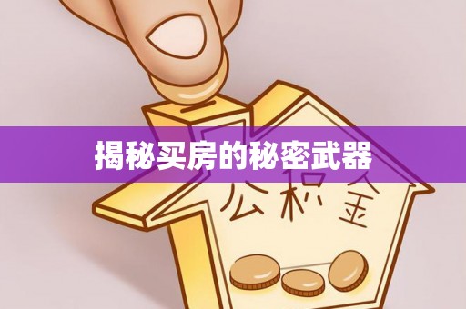 岱岳揭秘买房的秘密武器