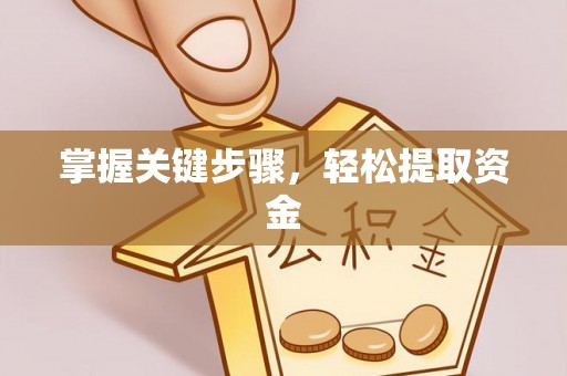 岱岳掌握关键步骤，轻松提取资金
