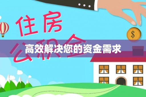岱岳高效解决您的资金需求