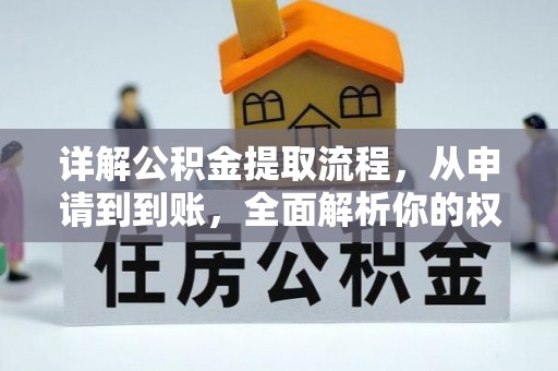 岱岳详解公积金提取流程，从申请到到账，全面解析你的权益与操作步骤