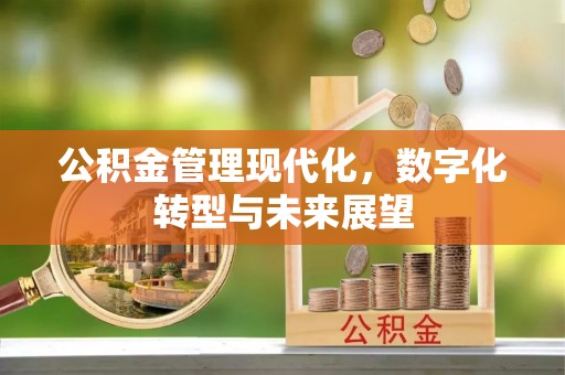 岱岳公积金管理现代化，数字化转型与未来展望