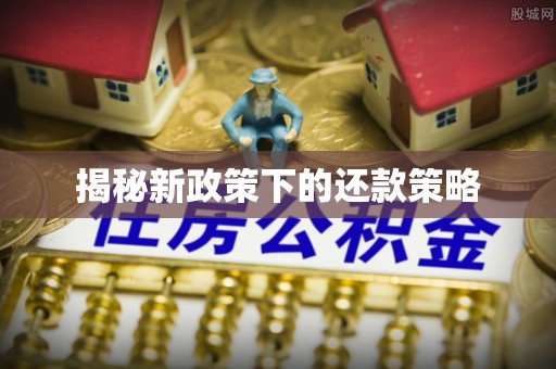 岱岳揭秘新政策下的还款策略