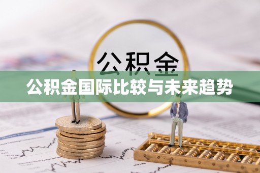 岱岳公积金国际比较与未来趋势