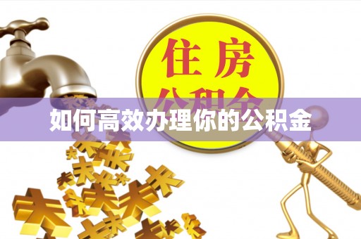 岱岳如何高效办理你的公积金