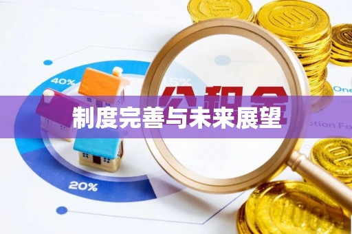 岱岳制度完善与未来展望