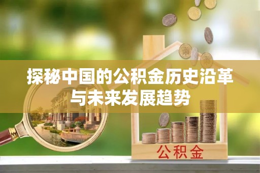 岱岳探秘中国的公积金历史沿革与未来发展趋势