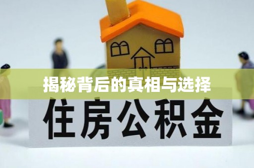 岱岳揭秘背后的真相与选择
