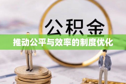 岱岳推动公平与效率的制度优化