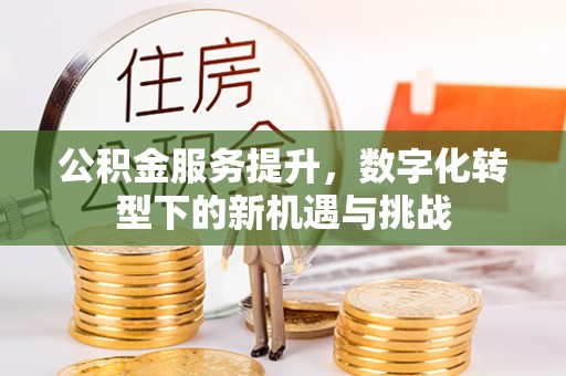 岱岳公积金服务提升，数字化转型下的新机遇与挑战