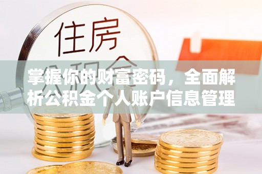 岱岳掌握你的财富密码，全面解析公积金个人账户信息管理与优化