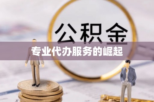 岱岳专业代办服务的崛起
