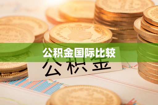 岱岳公积金国际比较