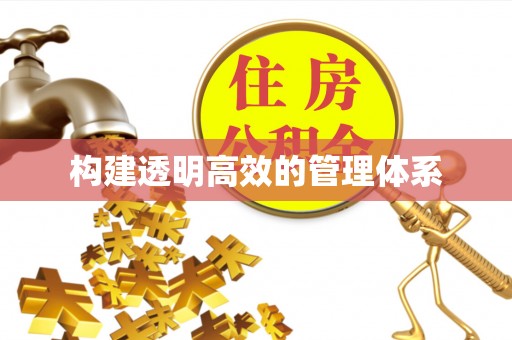 岱岳构建透明高效的管理体系