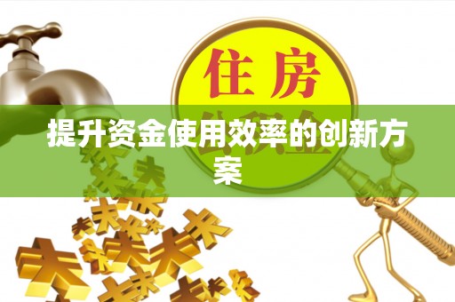 岱岳提升资金使用效率的创新方案