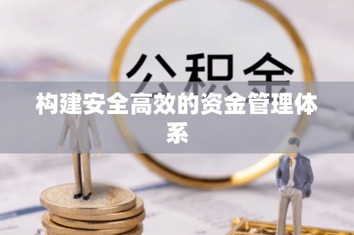 岱岳构建安全高效的资金管理体系