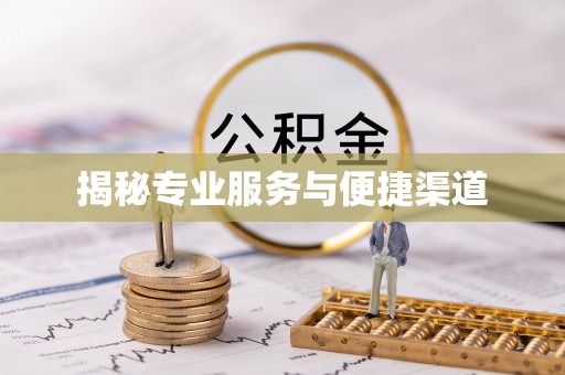 岱岳揭秘专业服务与便捷渠道