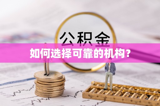 岱岳如何选择可靠的机构？
