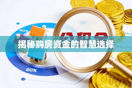 岱岳揭秘购房资金的智慧选择