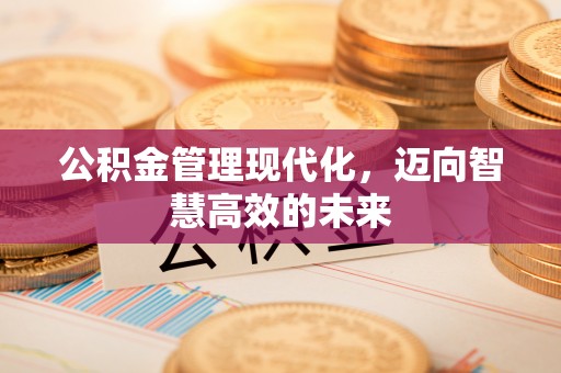 岱岳公积金管理现代化，迈向智慧高效的未来