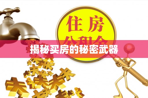 岱岳揭秘买房的秘密武器