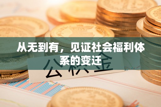 岱岳从无到有，见证社会福利体系的变迁