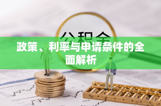 岱岳政策、利率与申请条件的全面解析