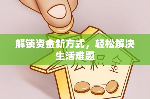 岱岳解锁资金新方式，轻松解决生活难题