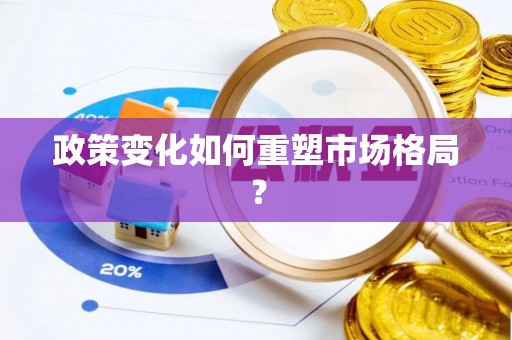 岱岳政策变化如何重塑市场格局？