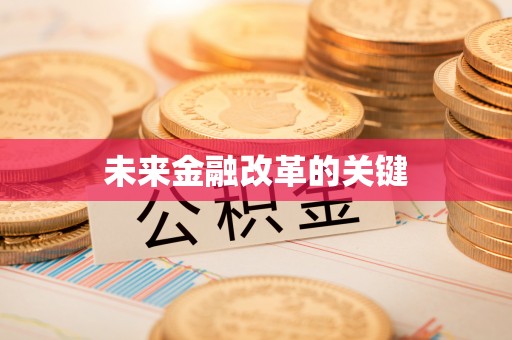 岱岳未来金融改革的关键