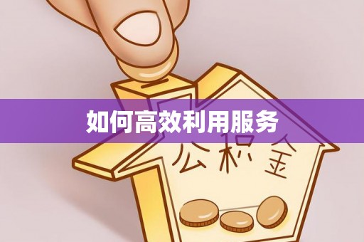 岱岳如何高效利用服务