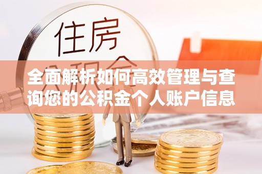 岱岳全面解析如何高效管理与查询您的公积金个人账户信息