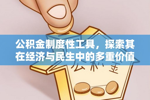 岱岳公积金制度性工具，探索其在经济与民生中的多重价值