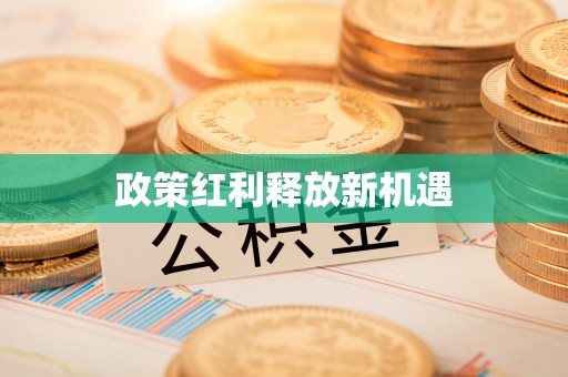 岱岳政策红利释放新机遇
