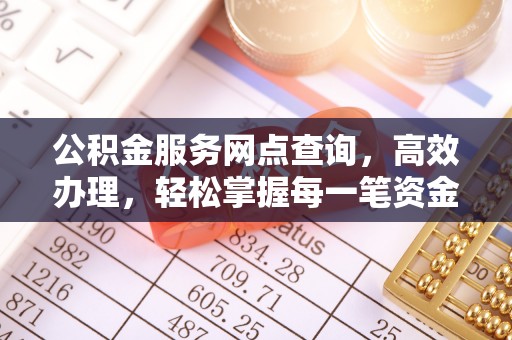 岱岳公积金服务网点查询，高效办理，轻松掌握每一笔资金动态