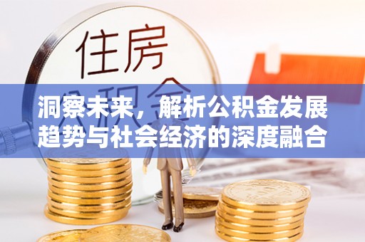 岱岳洞察未来，解析公积金发展趋势与社会经济的深度融合