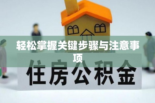 岱岳轻松掌握关键步骤与注意事项