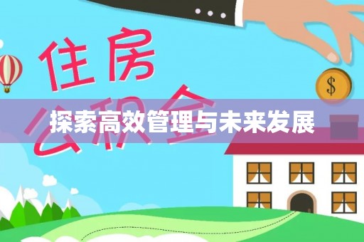 岱岳探索高效管理与未来发展