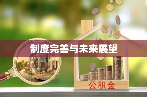 岱岳制度完善与未来展望