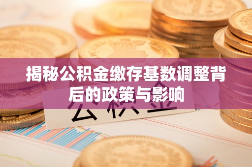 岱岳揭秘公积金缴存基数调整背后的政策与影响
