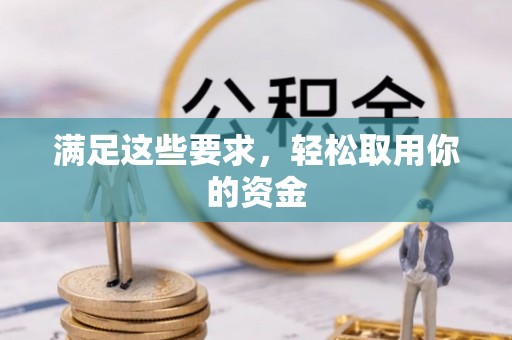 岱岳满足这些要求，轻松取用你的资金