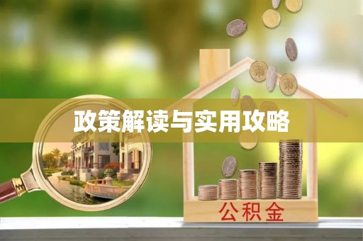 岱岳政策解读与实用攻略