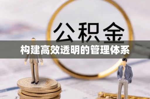 岱岳构建高效透明的管理体系