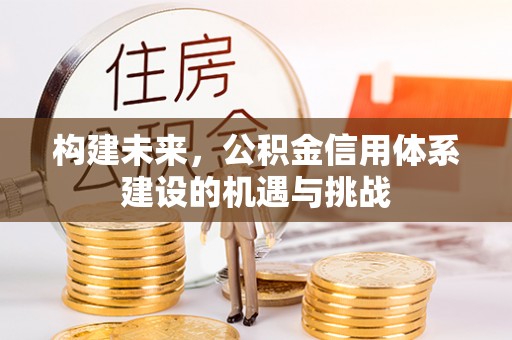 岱岳构建未来，公积金信用体系建设的机遇与挑战