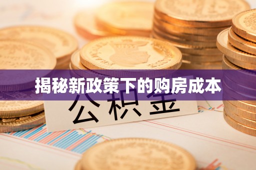 岱岳揭秘新政策下的购房成本