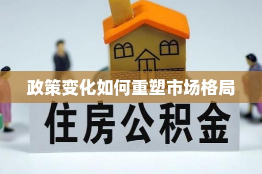 岱岳政策变化如何重塑市场格局