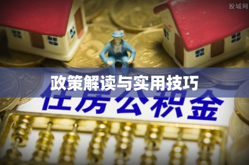 岱岳政策解读与实用技巧