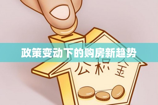 岱岳政策变动下的购房新趋势