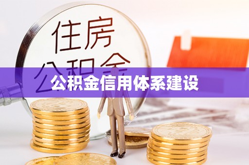岱岳公积金信用体系建设
