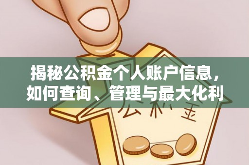 岱岳揭秘公积金个人账户信息，如何查询、管理与最大化利用